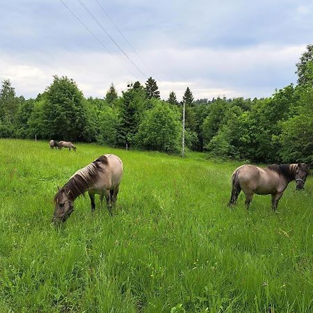 Sudecka Chata Bystrzyca Kłodzka Dış mekan fotoğraf